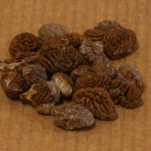 DRY IBOGA SEEDS