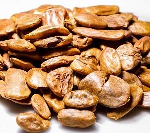 AKUAMMA SEED